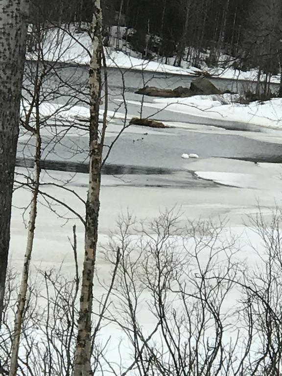 Villa Somosenranta Oikarainen エクステリア 写真